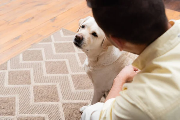 Vue recadrée de l'homme près du chien labrador, avant-plan flou — Photo de stock