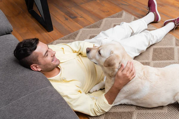 High angle view of positive man sitting on carpet near sofa and petting labrador dog — Stock Photo