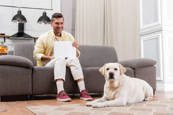 Smiling freelancer sitting on sofa with laptop near labrador lying on carpet — Stock Photo