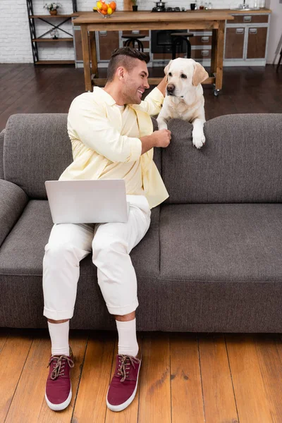 Щасливий фрилансер гладив лабрадора собакою, сидячи на дивані з ноутбуком. — стокове фото