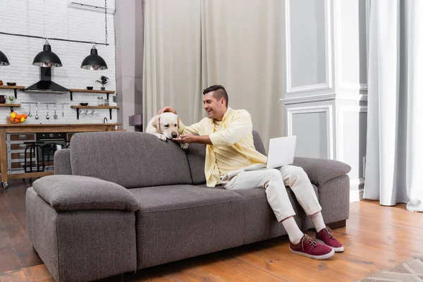 Alegre freelancer divirtiéndose con labrador sentado en sofá con laptop - foto de stock