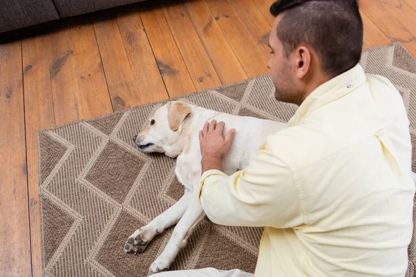 Overhead view of man petting labrador dog lying on carpet at home — Stock Photo