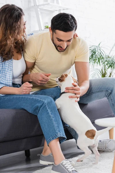 Muslim man smiling while cuddling jack russell dog near girlfriend — Stock Photo