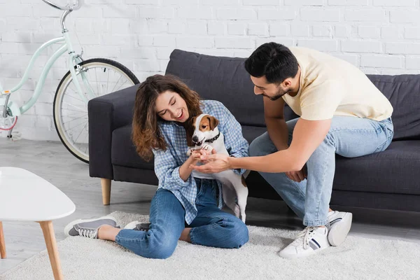 Donna sorridente coccole jack russell terrier vicino fidanzato musulmano — Foto stock