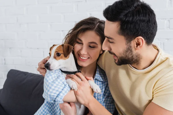 Felice coppia interrazziale petting jack russell terrier — Foto stock