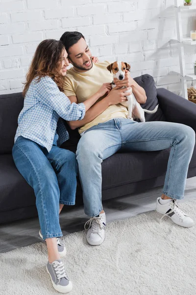 Alegre interracial casal petting jack russell terrier no sala de estar — Fotografia de Stock