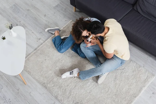 Blick von oben auf gemischtrassiges Paar, das Jack Russell Terrier im Wohnzimmer kuschelt — Stockfoto