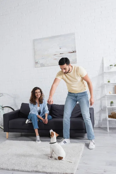 Muslim man holding pet food above jack russell terrier near cheerful girlfriend on sofa — Stock Photo