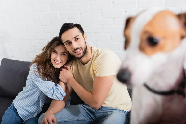 Happy interracial couple looking at blurred jack russell terrier on blurred foreground — Stock Photo