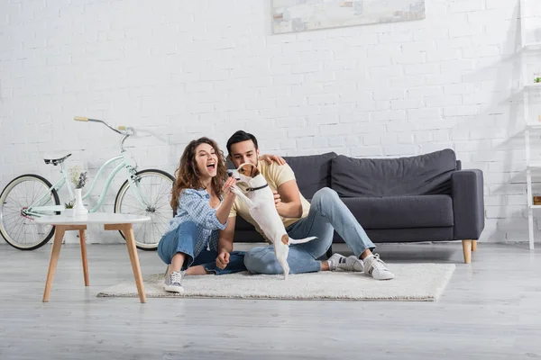 Amazed woman feeding dog near muslim boyfriend at home — Stock Photo