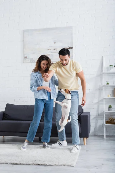 Muslim man holding pet food while jack russell terrier jumping near cheerful girlfriend — Stock Photo