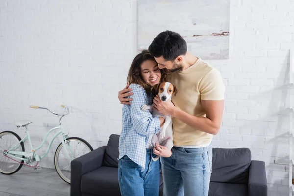 Happy multiethnic couple hugging with jack russell terrier in modern living room — Stock Photo