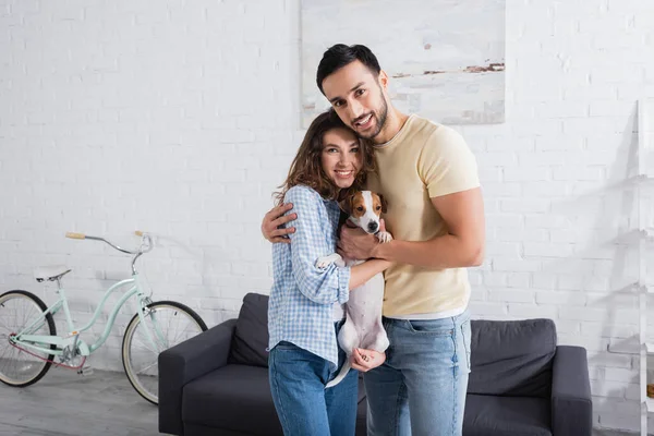 Cheerful multiethnic couple hugging with jack russell terrier in modern living room — Stock Photo