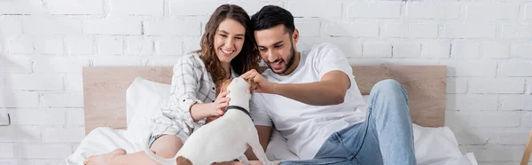 Felice coppia interrazziale petting jack russell terrier a letto, banner — Foto stock