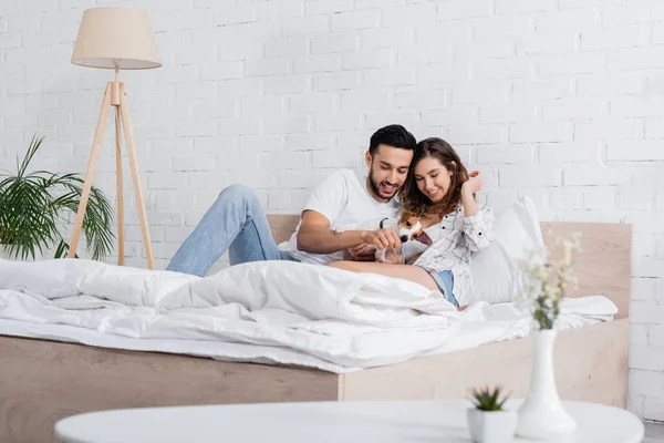 Sorrindo casal interracial abraçando jack russell terrier na cama — Fotografia de Stock