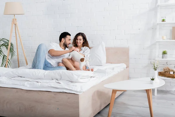 Smiling interracial couple cuddling jack russell terrier in bedroom — Stock Photo
