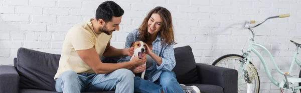 Donna sorridente coccole jack russell terrier vicino fidanzato musulmano, banner — Foto stock