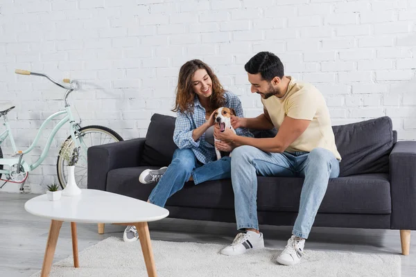 Happy woman cuddling jack russell terrier near muslim boyfriend — Stock Photo