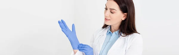 Attrayant dentiste en manteau blanc ajustant gants en latex isolé sur gris, bannière — Photo de stock