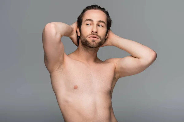 Shirtless man posing while looking away isolated on grey — Stock Photo