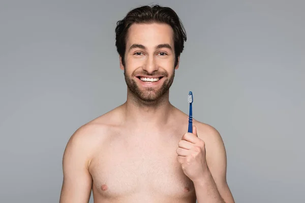 Fröhlicher und hemdsloser Mann mit Zahnbürste isoliert auf grau — Stockfoto