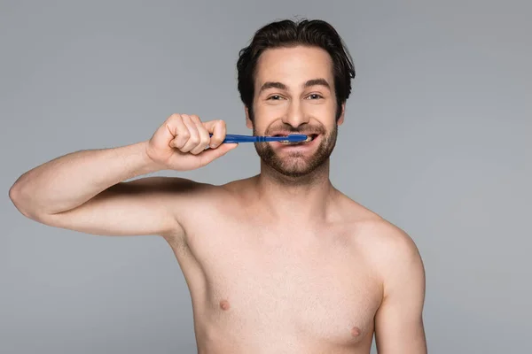 Hombre sonriente y sin camisa cepillándose los dientes aislados en gris - foto de stock