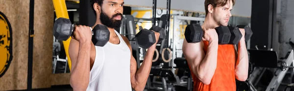 Deportistas interracial haciendo ejercicio con pesas en el gimnasio, pancarta - foto de stock