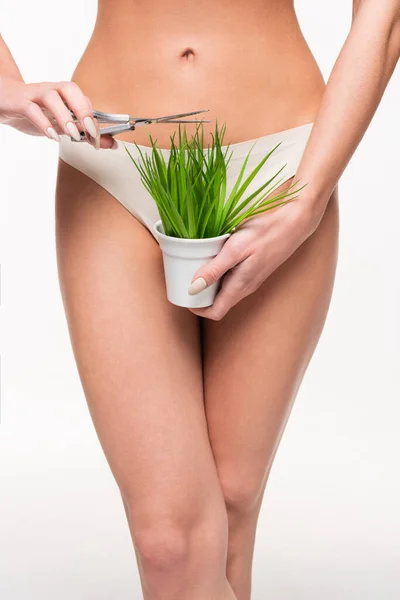Vue partielle de la jeune femme en culotte beige tenant pot avec herbe et ciseaux près du bikini isolé sur blanc — Photo de stock