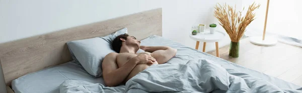 Young man sleeping in bed near bedside table and floor vase with spikelets, banner — Stock Photo