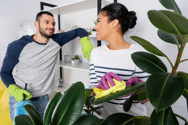 Smiling african american woman cleaning plant with rag near boyfriend with dust brush — Stock Photo