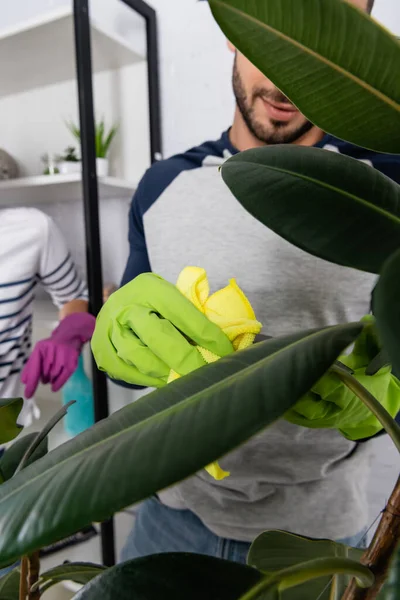 Homem desfocado planta de limpeza perto da namorada em casa — Fotografia de Stock