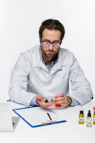 Arzt hält trockenes medizinisches Cannabis in der Nähe von Rezept und Laptop isoliert auf weiß — Stockfoto