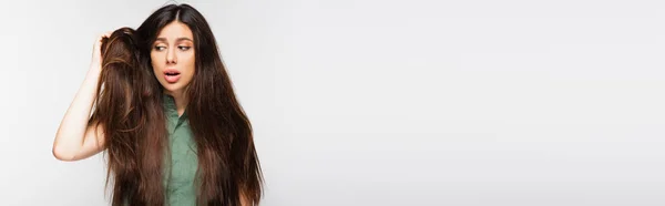 Bouleversé jeune femme regardant les cheveux longs emmêlés isolé sur gris, bannière — Photo de stock