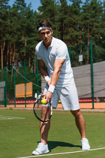 Hombre deportivo sosteniendo raqueta y pelota en el césped de la cancha de tenis - foto de stock