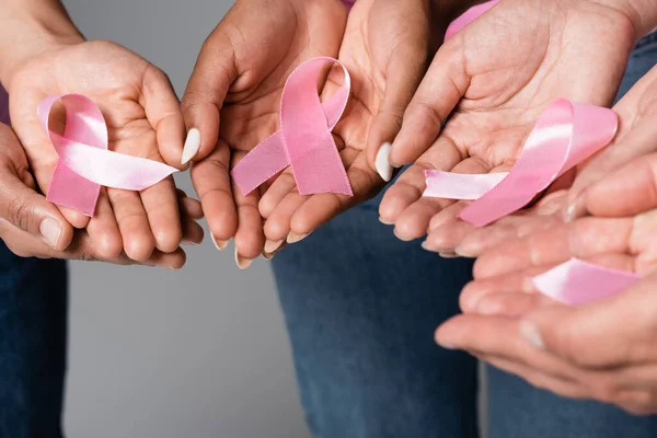 Cropped view of interracial women holding pink ribbons isolated on grey — Stock Photo