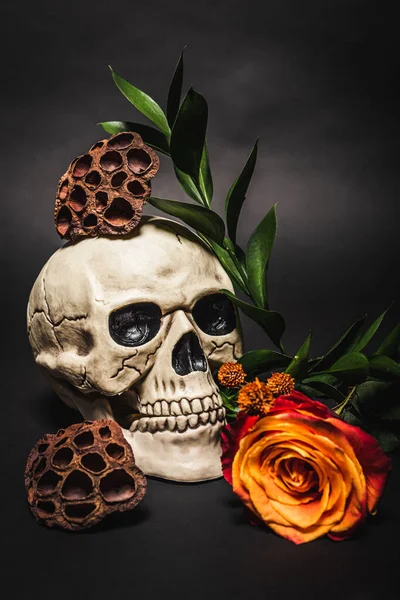 Flor naranja cerca del espeluznante cráneo y vainas de loto secas en negro - foto de stock