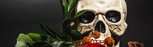 Flor de naranja cerca de cráneo espeluznante y vaina de loto seco en negro, bandera - foto de stock