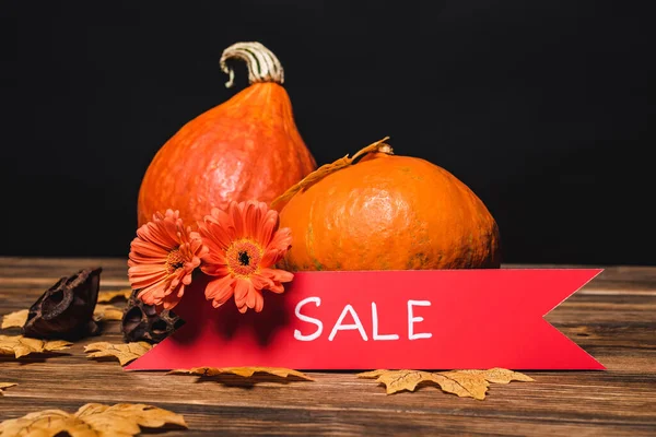 Fleurs gerbera et feuilles automnales près de citrouilles orange et ruban avec vente lettrage isolé sur noir — Photo de stock