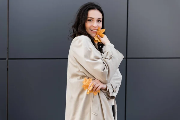 Heureuse femme brune en manteau beige tenant des feuilles jaunes près du mur gris — Photo de stock