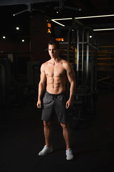 Shirtless muscular man in shorts and sneakers looking away while standing in gym — Stock Photo