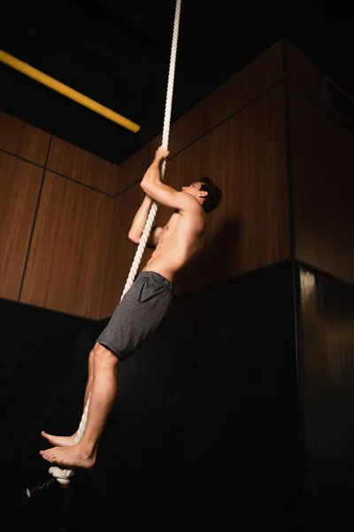Ganzkörperansicht des hemdslosen Barfußsportlers beim Klettern auf einem Gymnastikseil in der Turnhalle — Stockfoto