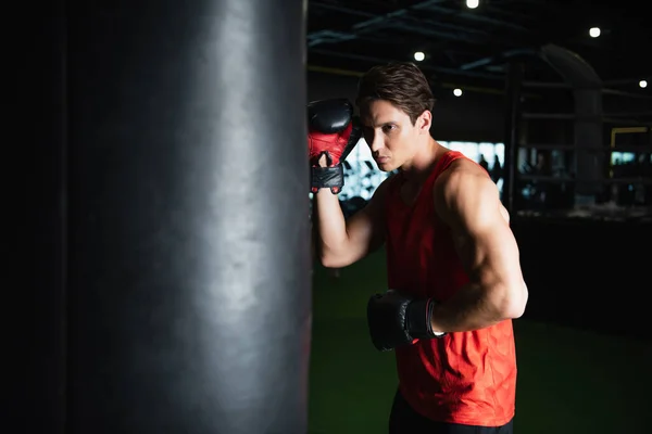 Deportista en guantes de boxeo entrenamiento con saco de boxeo en gimnasio - foto de stock