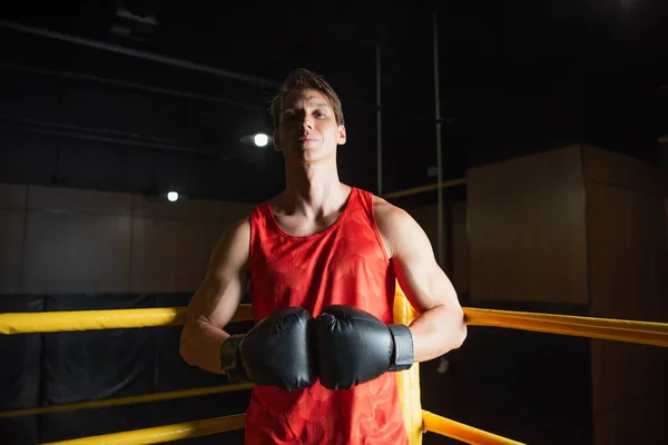 Confident sportsman in boxing gloves looking at camera while standing in corner of ring — Stock Photo
