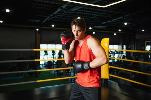 Спортсмен в боксёрских перчатках тренируется в спорткомплексе — стоковое фото