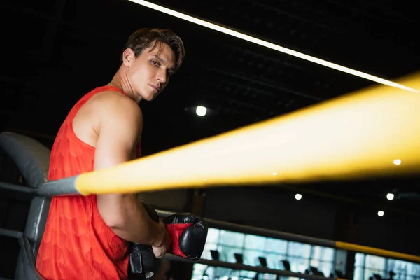 Sportif en gants de boxe regardant la caméra tout en se tenant près des cordes floues — Photo de stock