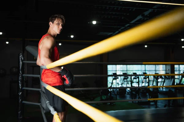 Selbstbewusster Boxer blickt in die Kamera, während er sich im Fitnessstudio an Ringseile lehnt — Stockfoto