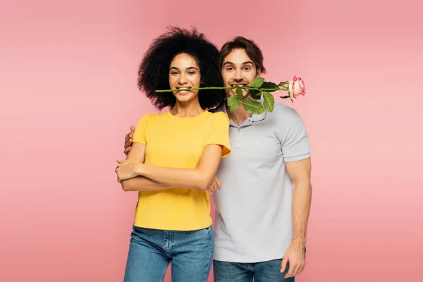 Positive multiethnic couple standing with rose in teeth isolated on pink — Stock Photo