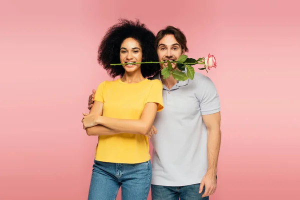 Pareja multiétnica positiva de pie con rosa en los dientes aislados en rosa - foto de stock