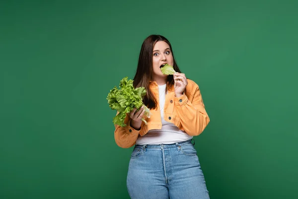 Jovem com sobrepeso comer alface isolada em verde — Fotografia de Stock