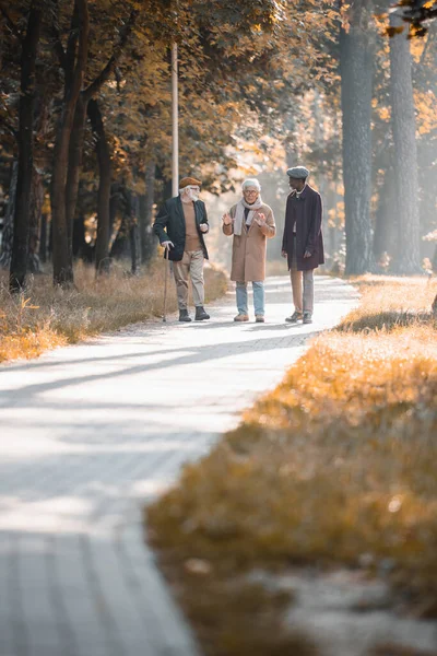 Amigos mayores multiétnicos caminando en el camino en el parque de otoño - foto de stock